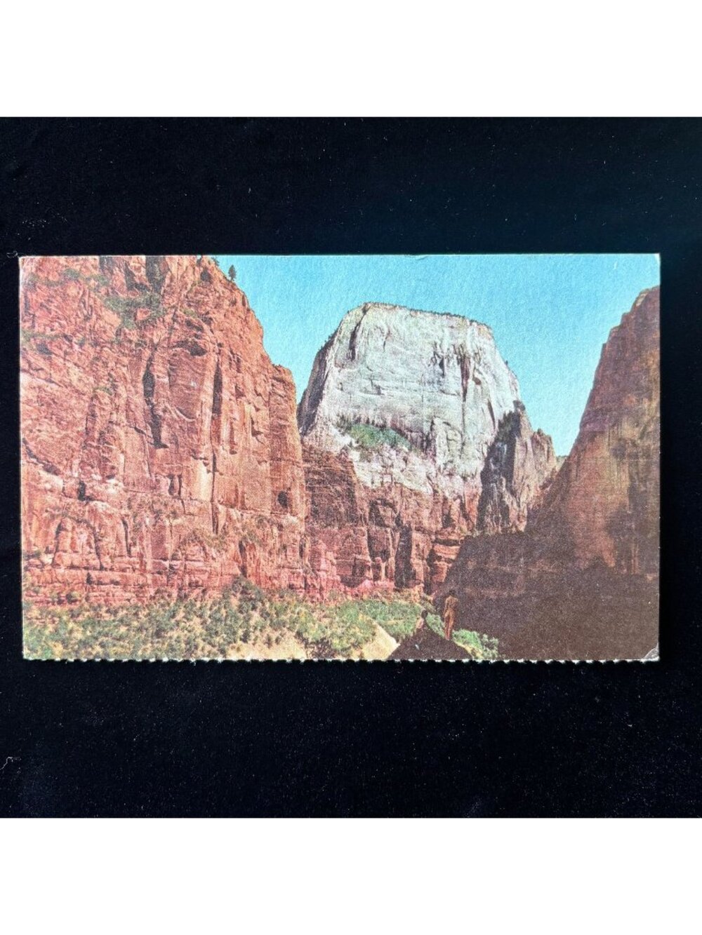Vintage Postcard 1951 Forest Fire Zion National Park Utah Great White Throne